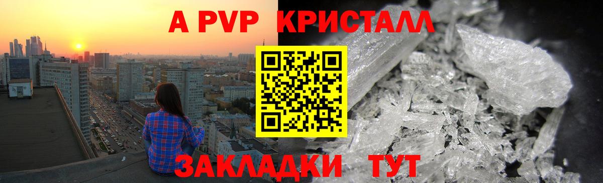 Альфа ПВП СК Мурманск