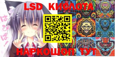 ешки Славгород