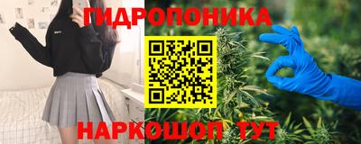 бошки Сланцы