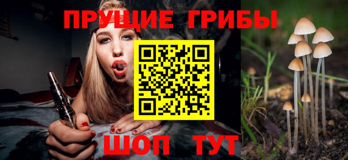 Мурманск  где купить   Вход с VPN  Галлюциногенные грибы Magic Shrooms 