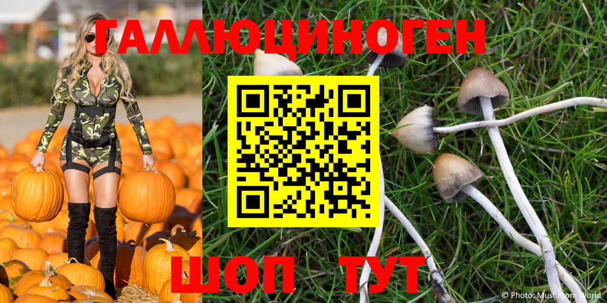 Псилоцибиновые грибы MAGIC MUSHROOMS Мурманск